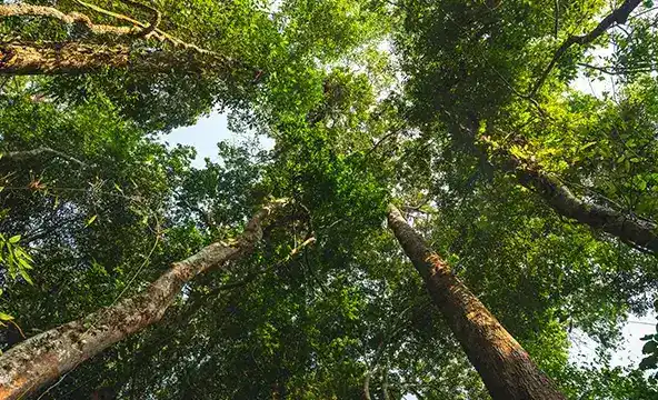 <img width="200" alt="Reasons sustainability 4" src="https://www.culligan.de/wp-content/themes/culligan-emea/img/four-reasons-module//reasons-sustainability-4.webp" /> Reasons sustainability 4