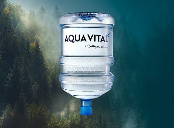 Aqua Vital Gallone mit Quellwasser