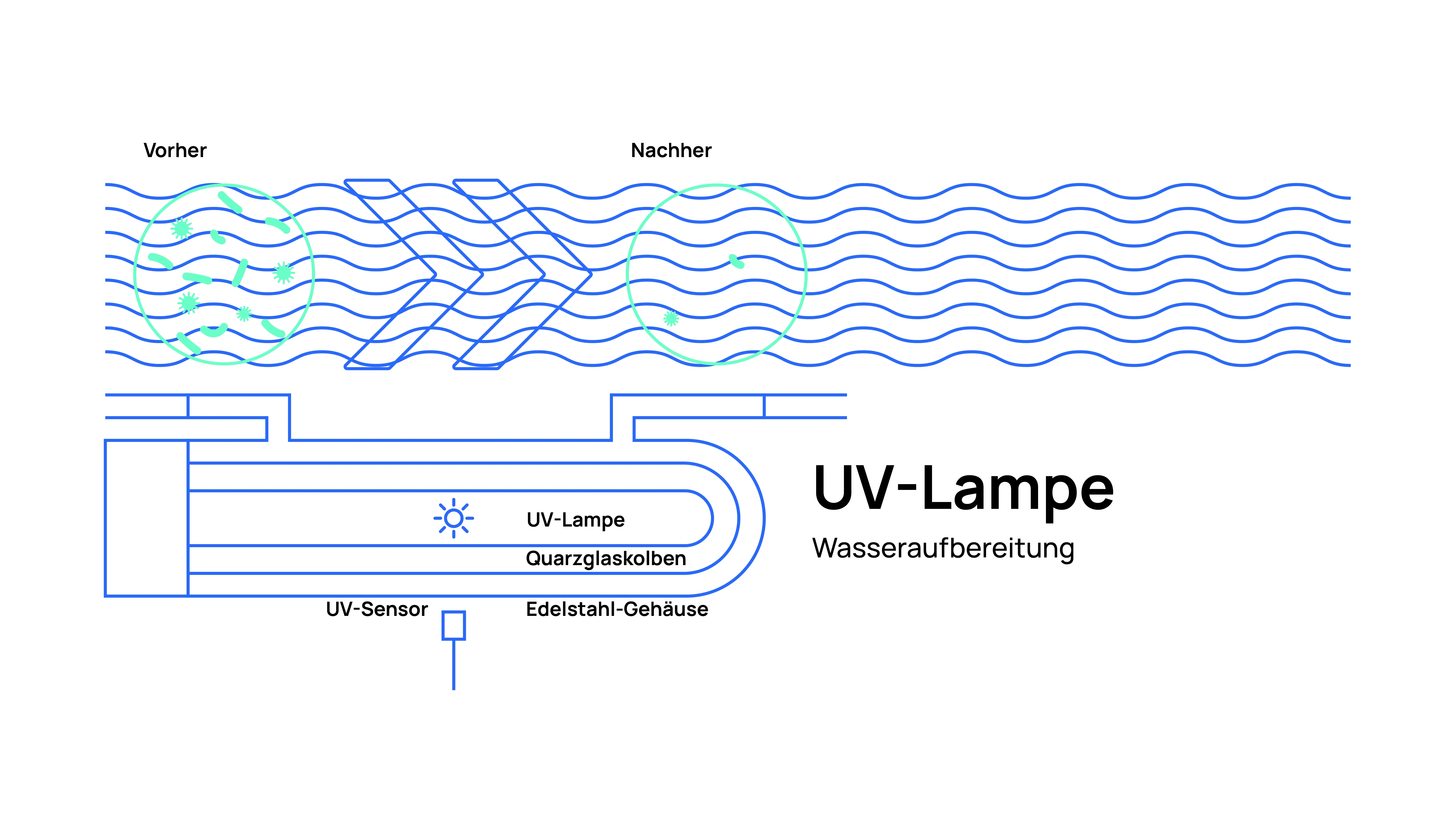 V-Lampen bieten eine effektive Möglichkeit, Wasser zu reinigen.